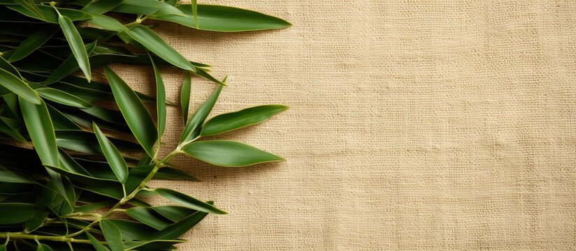 Eco friendly cotton fabric with recycled label and grass made recycling symbol in green and beige