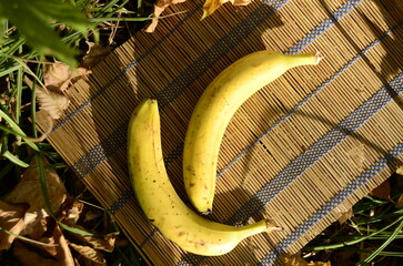 banana close-up from different angles