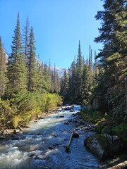 Glacier national park CANADA