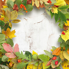 Autumn leaves on wooden background. Frame from leaves with copyspace. Digital scrapbook design. School theme. Back to school