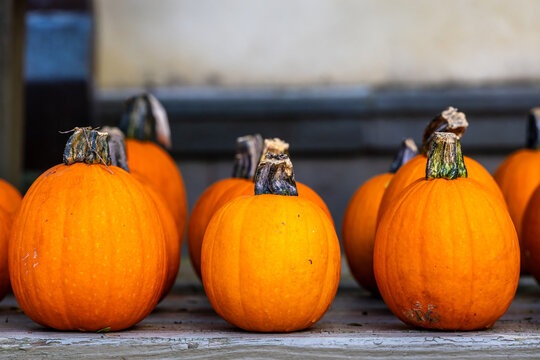pumpkins on a table with top border