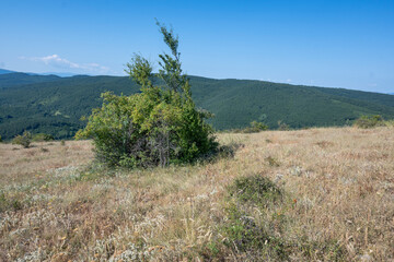 Amazing Summer Landscape of Rudina mountain, Bulgaria