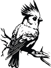 Cockatiel Bird Sitting On Branch
