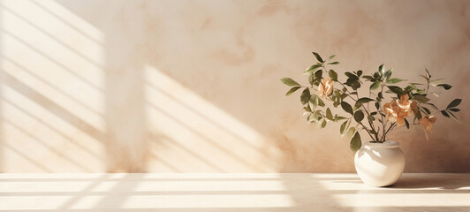 Beige wall with sunlight, shadows and plant. 