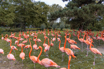 Visitors explore Cologne Zoo, encountering diverse animals in their habitats, from flamingos to...