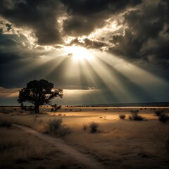 sunset over the sand desert with strong sun rays down