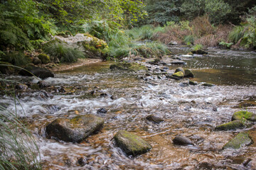 some rocks and little water in the river