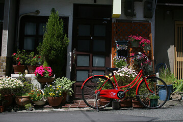 Fototapeta na wymiar bicycle and flowers in a garden