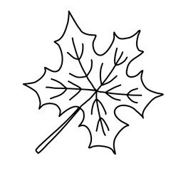 Maple leaf, autumn design element, doodle style flat vector outline for coloring book