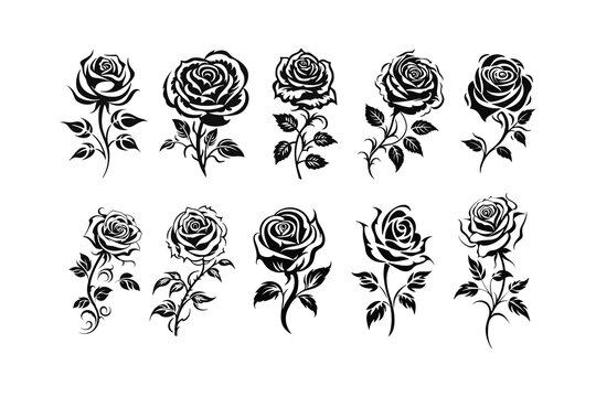 A collection of rose tattoo vector illustrations