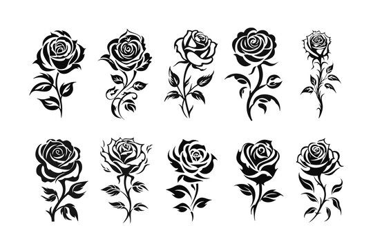 A collection of rose tattoo vector illustrations - Powered by Adobe