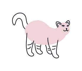 cat mascot animal funny