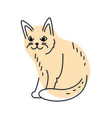 cat mascot design