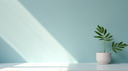 A simple abstract light blue background for product presentations with complex lights and shadows from windows and plants on the walls.