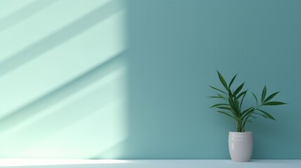 A simple abstract light blue background for product presentations with complex lights and shadows from windows and plants on the walls.