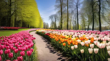Möbelaufkleber tulips in the park © faiz