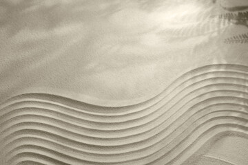 Beautiful lines and shadows of leaves on sand, top view with space for text. Zen garden