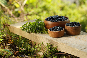 Delicious bilberries and branch with fresh berries on wooden bench outdoors
