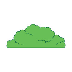 Bushes illustration