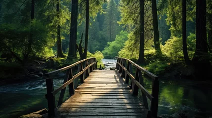 Fototapete Straße im Wald wooden bridge in the forest