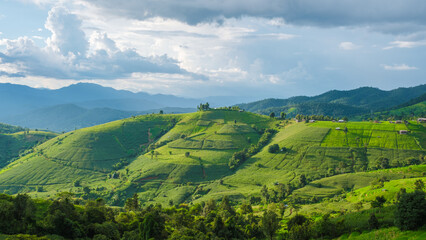 Obraz premium Zielone tarasowe pola ryżowe w Chiang Mai w Tajlandii