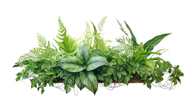 bunch of plant isolated on transparent background cutout