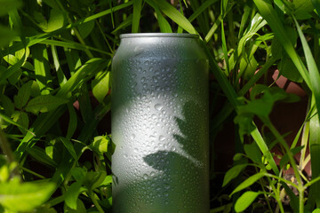 aluminum soda can without cabbage surrounded by vegetation with water drops