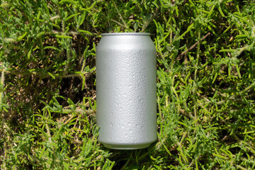 aluminum can on greenery with water drops