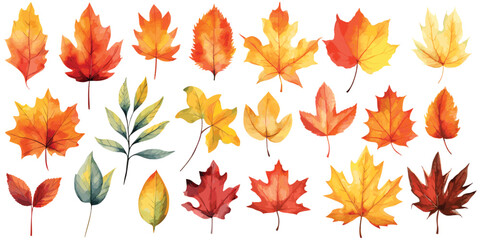 Watercolor autumn leaves, Beautiful autumn leaves