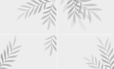 Set of shadow overlay effects. Tropical leaf soft shadow. Natural light scene, vector illustration