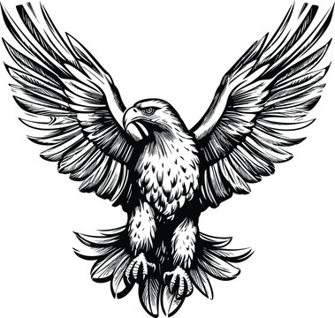 Eagle vector illustrations logo, t-shart design wallpaper  