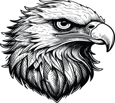 Eagle vector illustrations logo, t-shart design wallpaper  