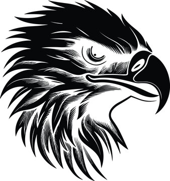 Eagle vector illustrations logo, t-shart design wallpaper  