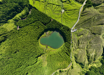 Aerial view of "Lagoa do Canario" lagoon surrounded by green forest located on Sao Miguel, Azores, Portugal.