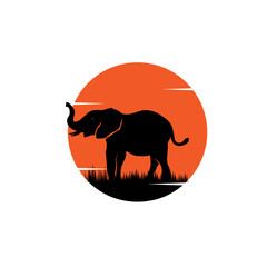 elephant silhouette sunset