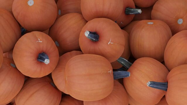 many pumpkins falling in stack orange squashes halloween or thanksgiving background 3D animation 
