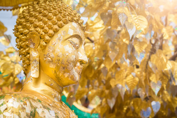 Buddhists gild gold leaf on buddha statue under the golden bodhi tree at the temple