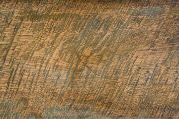 Old wood texture. Wooden background.