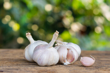 Organic garlic on wood with nature blur background.