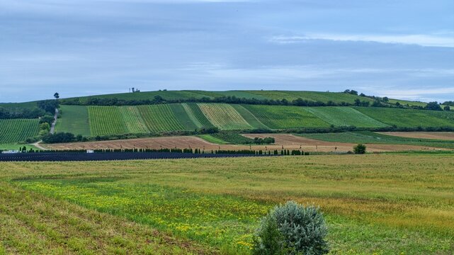 south moravia land of wines