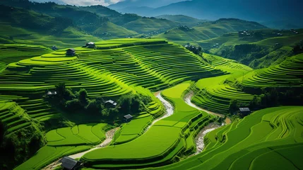 Photo sur Plexiglas Mu Cang Chai Green Terraced Rice Field in Mu Cang Chai, YenBai, Vietnam, 