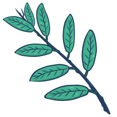 illustration of leaf and  branch