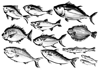 いろいろな手描きの魚の集合　和風筆書きの魚セット