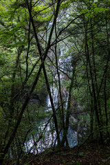 Fototapeta premium 山