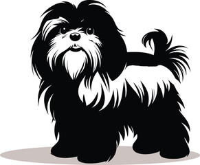 silhouette shih tzu dog