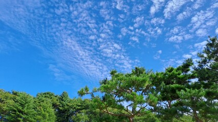 Sangdang Mountain Fortress In Cheongju City, South Korea