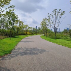 Sunny Day In Sejong Arboretum, South Korea