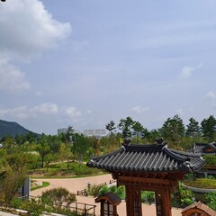 Sunny Day In Sejong Arboretum, South Korea