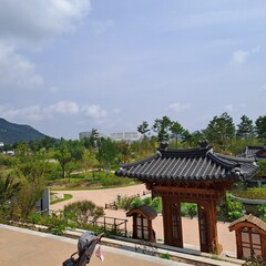 Sunny Day In Sejong Arboretum, South Korea