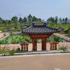 Fototapeta premium Sunny Day In Sejong Arboretum, South Korea